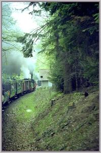 Sonderzug vor Drngetal