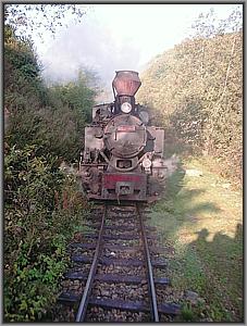 764 408 zwischen Viseu de Sus und Valea Scradei