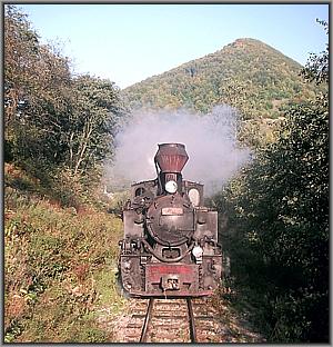 764 408 zwischen Viseu de Sus und Valea Scradei