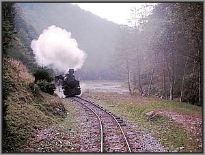 764 408 zwischen Novat Delta und Glimboca