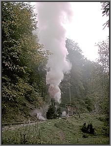 764 408 in Glimboca