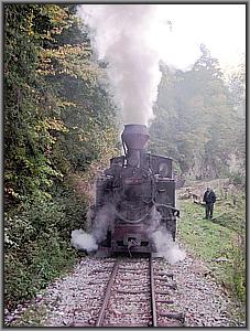 764 408 in Glimboca