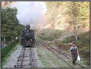 764 408 in Cozia