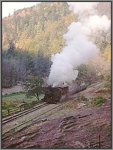 764 408 in Cozia