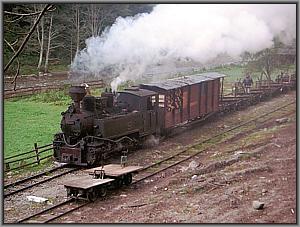 764 408 in Cozia