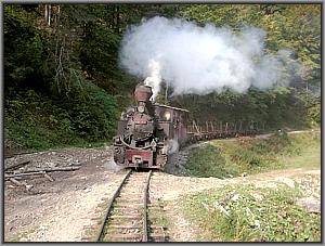 764 408 in Novicior