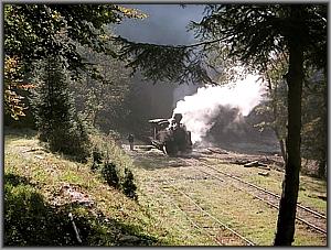 764 408 in Paltin