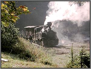 764 408 in Paltin