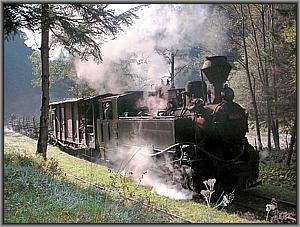 764 408 in Paltin