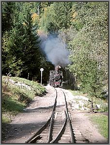 764 408 in Bardau