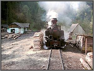 764 408 in Bardau