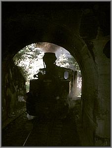 764 408 bei Einfahrt in den Tunnel Nr.3