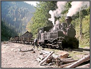 764 408 rangiert in Botizu