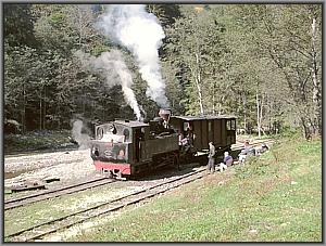 764 408 in Paltin