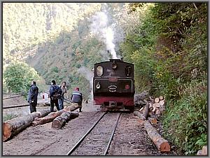 764 408 bei Valea Scradei
