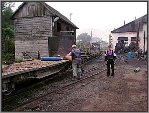 Produktionszug in Viseu de Sus