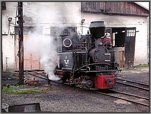 793 193 in Viseu de Sus