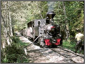 764 211 im Novattal