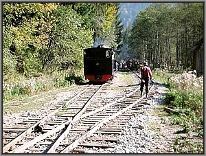 764 211 in Poiana Novat