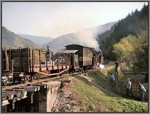 Der Zug in Valea Scradei