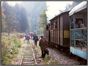764 211 in Cozia