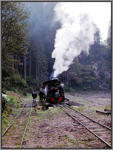 764 211 in Paltin