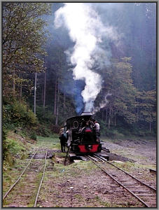764 211 in Paltin