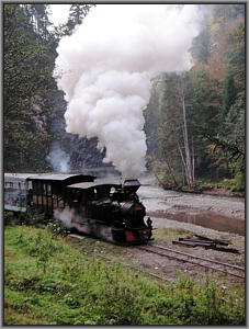 764 211 in Paltin