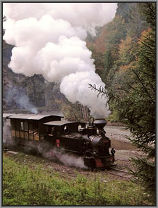 764 211 in Paltin
