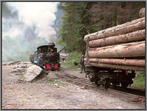 764 211 in Botizu