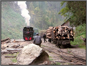 764 211 in Botizu