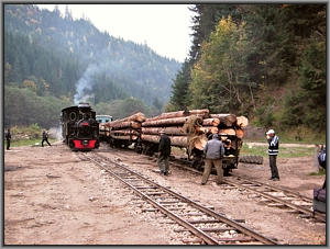 764 211 in Faina