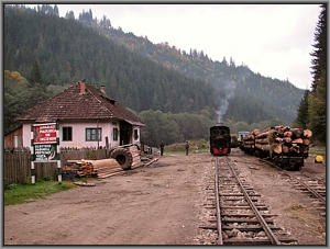 764 211 in Faina