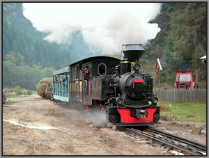 764 211 in Faina