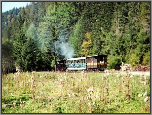 764 211 in Faina