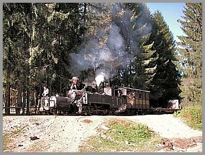 764 408 vor Poiana Novat