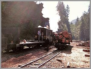 764 408 in Poiana Novat
