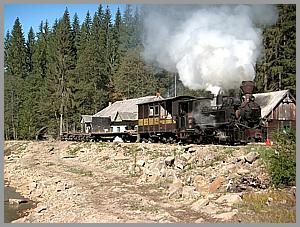 764 408 in Iohasa