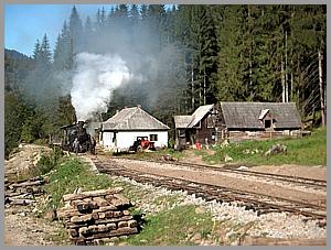 764 408 in Iohasa