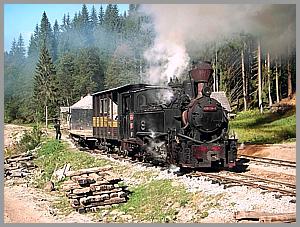 764 408 in Iohasa