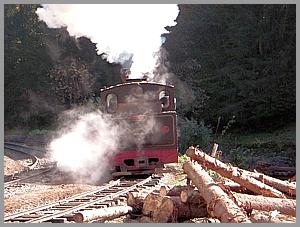 764 408 in Iohasa