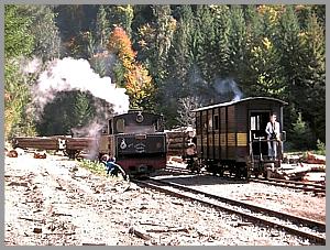 764 408 in Iohasa