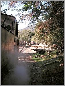 764 408 vor Poiana Novat