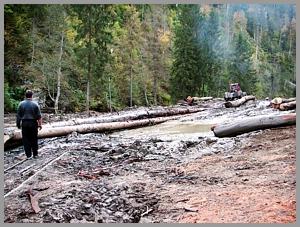 Probleme am Holzplatz
