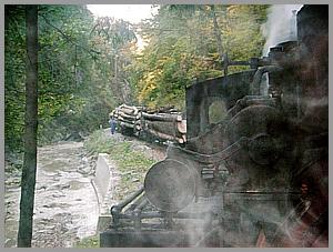 Bergabfahrt hinter den Holztrucks