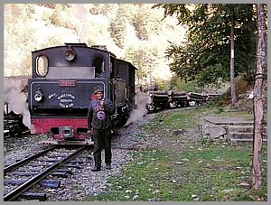 764 408 in Poiana Novat