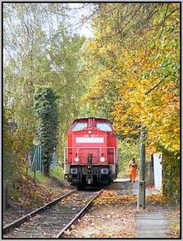 298 323 in Niesky