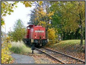 298 323 in Niesky