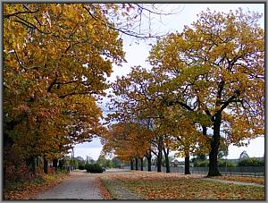 Bahnhofstrae in Klitten