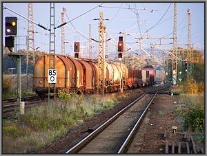 155 081 in Priestewitz